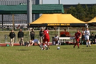 IMG_8704.JPG